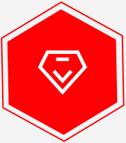 專業(yè)技術資詢與售后服務